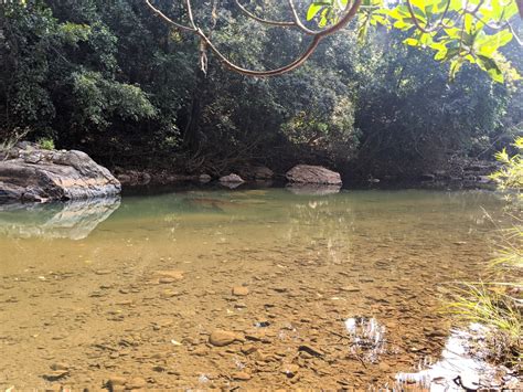 Dabhil Mauli: Stories and Struggles of a Small River in the Western ...