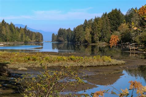 Image result for Salt Spring Tutorial Lfiddle