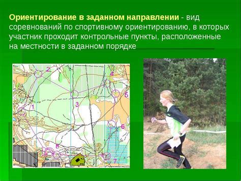 Спортивное ориентирование. Виды и правила. Особенности