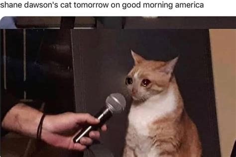 Microphone Interview Meme 的图像结果