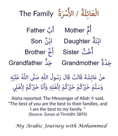 Learn Arabic Language with Quotes