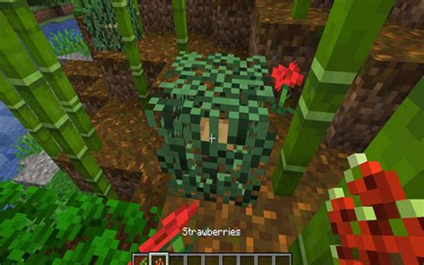 Simple Farming Mod Survival 的图像结果