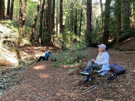 Nature Journaling with Marley Peifer, Bouverie Preserve, Glen Ellen, 24 ...