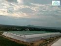Agriculture Polyhouse - NHB Subsidy Natural Ventilated Polyhouse ...