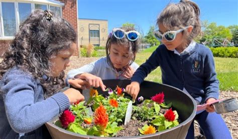 Image result for How to Make a Spring in Unity