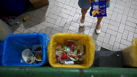 Waste Separation 的图像结果