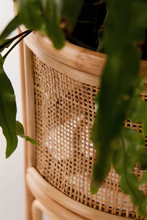 Rattan Plant Pot | Cane Flower Pot | Bamboo Planters - Anala – Akway