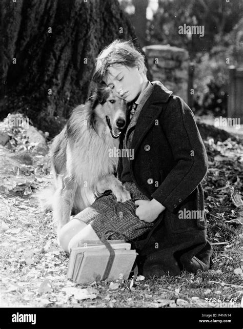 Original Film Title: LASSIE COME HOME. English Title: LASSIE COME HOME ...
