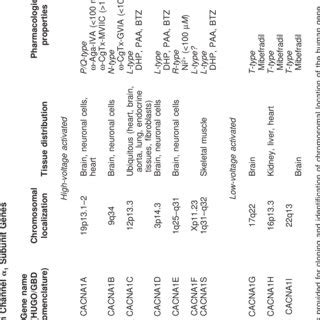 Image result for Calcium Channel Complex