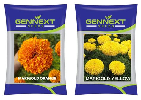 GENNEXT SEEDS Combo Pack of Orange and Yellow Marigold Seeds for Home ...