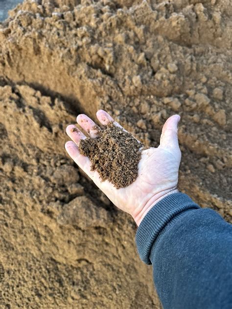 Image result for Fill Sand