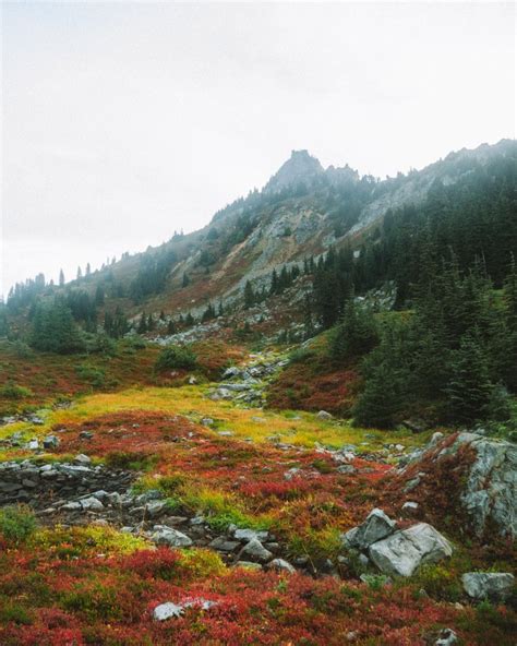 Washington Fall Colors 的图像结果