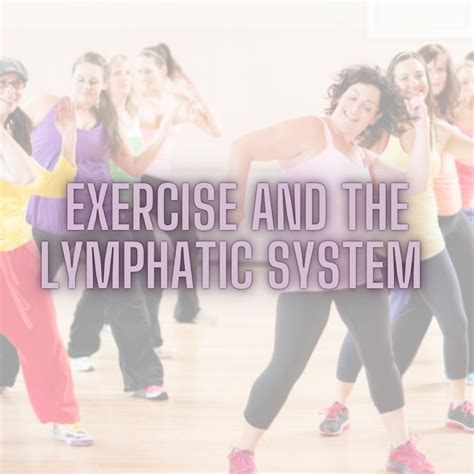 Image result for Lymphatic System Exercise