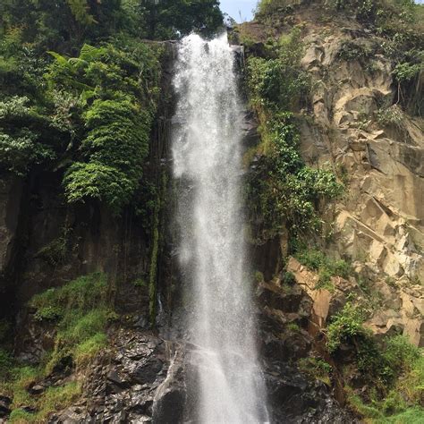 THE 30 BEST Places to Visit in Bogor Regency (2026)