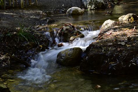 超过 100 张关于“流水”和“自然”的免费图片 - Pixabay