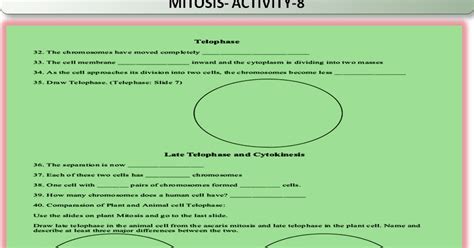 SONU ACADEMY: MITOSIS - ACTIVITY 8