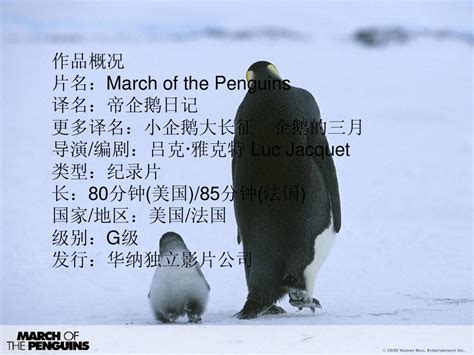 帝企鹅日记（英文版）—纪实—视频高清在线观看-优酷