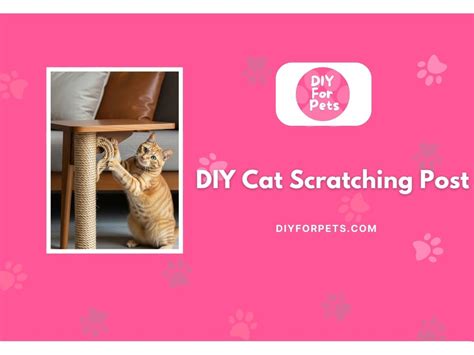 Image result for Cat Scratching Post