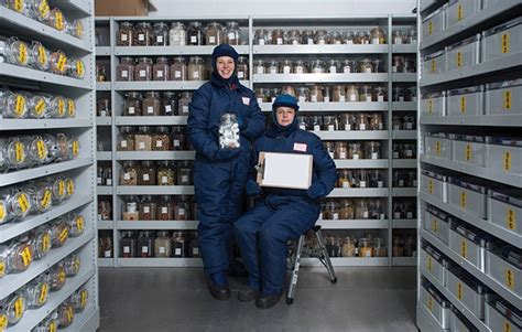 All about Kew's Millennium Seed Bank! - National Geographic Kids