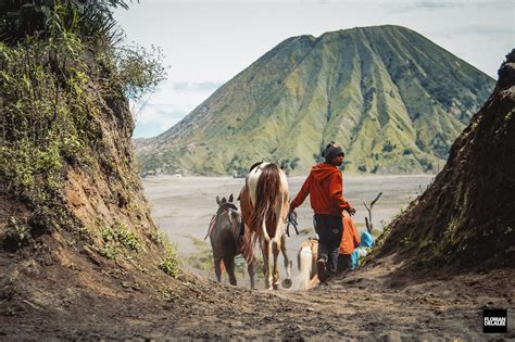 Wonderful Java Indonesia 的图像结果
