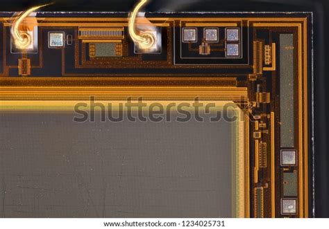 Camera Sensor Under Microscope 的图像结果