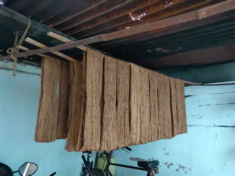 The Art of Natural Dyeing: A Journey into the Nature’s Palette through ...