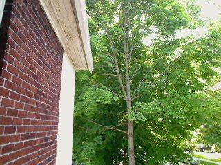 Image result for Pygame Light Engine