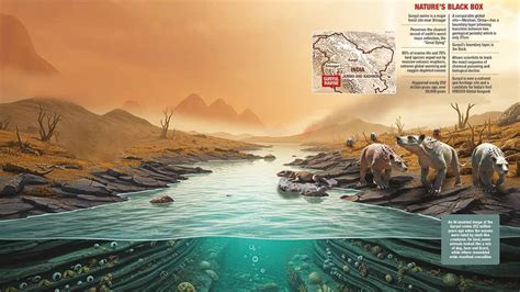 Guryul Ravine: Uncovering Earth's worst extinction in a Kashmir ravine ...