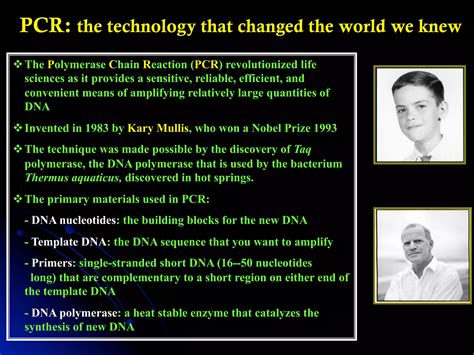 Pcr primer design | PDF