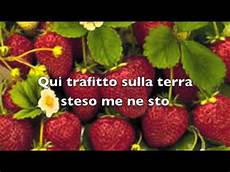 modã tappeto di fragole karaoke tappeto di fragole by mod 224 modã tappeto di fragole karaoke tappeto di fragole by mod 224