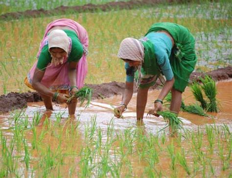 TNAU Agritech Portal :: Farm Enterprises