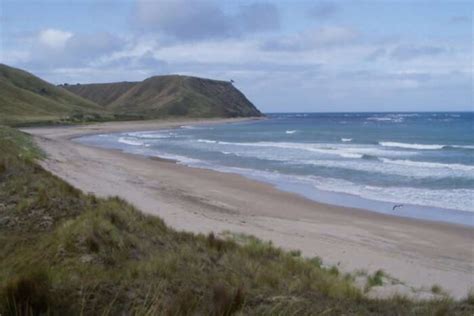 Snorkeling In New Zealand 2026: 6 Best Places To Snorkel!