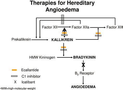 Treatment Of Hereditary Angioedema - Quotes Trending
