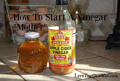 Make Your Own Vinegar "Mother" | Apple cider vinegar mother, Vinegar ...