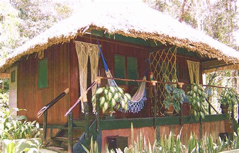 AMAZON VILLAGE JUNGLE LODGE (Amazon River, AM, Brazil) - Lodge Reviews ...
