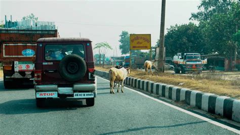 Indian Highways - And the disappearance of trees and milestones - Overdrive