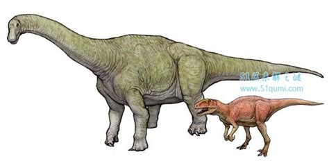 揭秘恐龙的八大真相 恐龙曾经历过两次大灭绝? - 52区未解之谜网