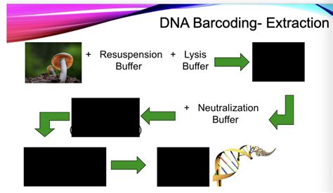 Image result for Simple Process Flowchart of DNA Barcoding