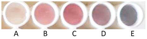 Tectomer-Mediated Optical Nanosensors for Tyramine Determination