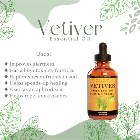 The Benefits of Vetiver | Mary Tylor Naturals