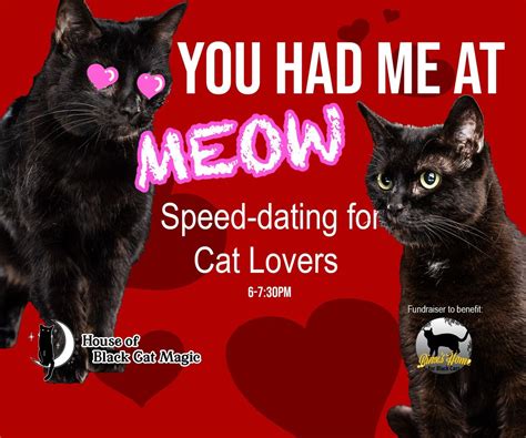 You Had Me at Meow: Speed-dating for Cat Lovers, House of Black Cat ...