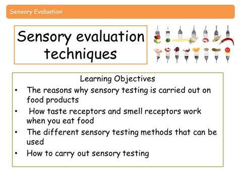 Image result for Sensory Testing Procedure