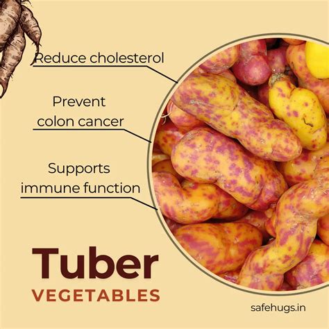 List of Vegetable Name For Kids (With Pictures)