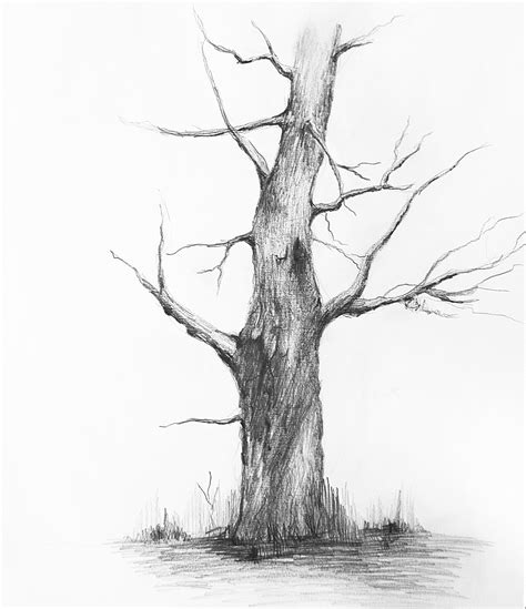 Image result for Drawing Using Perspective