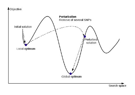 Image result for Iterated Local Search Algorithm