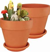 Image result for Large Clay Pots Outdoor