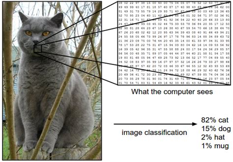 Image result for Image Classification with Classic and Deep Learning Techniques Image Classification Tutorial