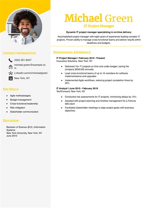 Resume Summary Examples Information Technology 的图像结果