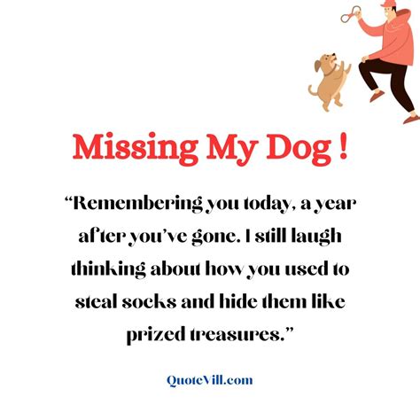 40 Heartfelt 1 Year Death Anniversary Quotes for Dog