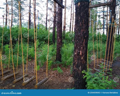 Orienteering in the Park Using Hanging Ladders and Ropes To Overcome ...